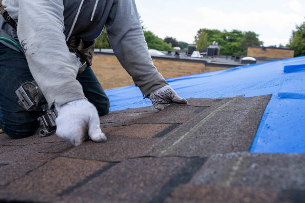 Best Residential Roofing Contractor  in Rosenhayn, NJ